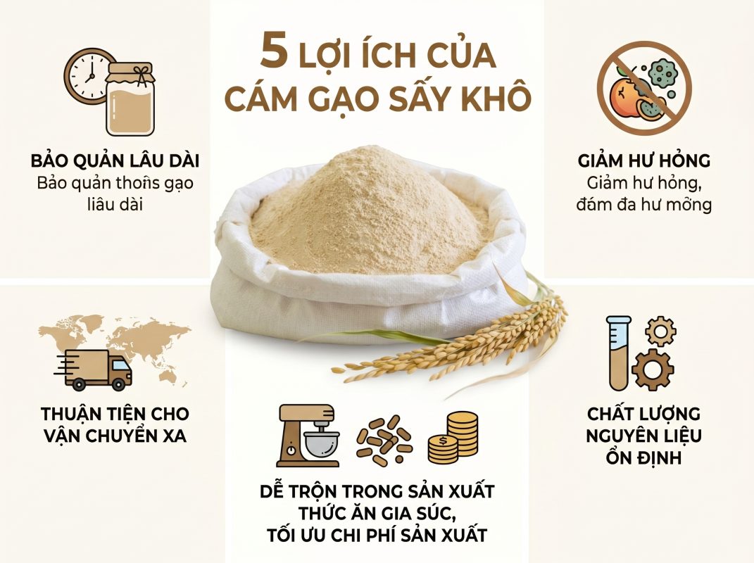 5 Lợi Ích Khi Sử Dụng Cám Sấy Trong Sản Xuất Thức Ăn Chăn Nuôi | HG AGRO