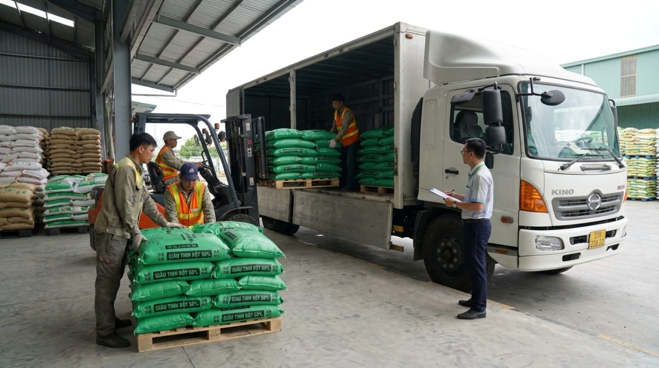 lợi ích của cám gạo giàu tinh bột trong chăn nuôi