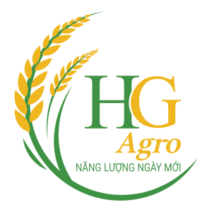 logo hg