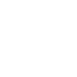 icon HG 2