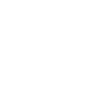 icon HG 3